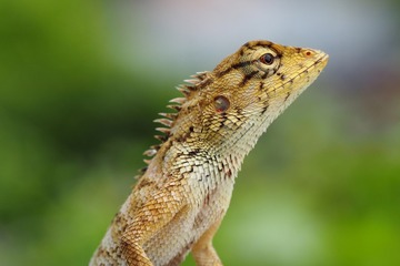 P9070012