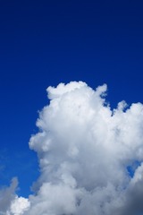 P5252565