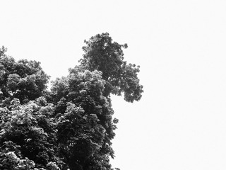 R0014121