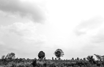 R0014170