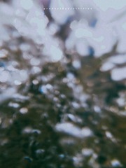 R0015112
