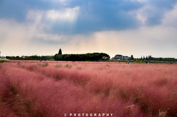 _DSC8898