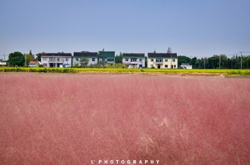 _DSC8712