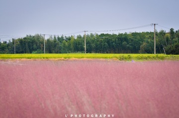 _DSC8825