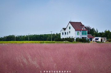 _DSC8824