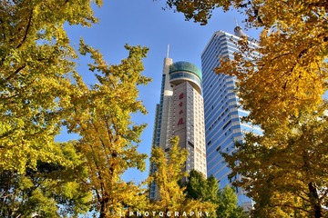 _DSC0962