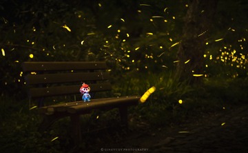 小鲸鱼萤火虫