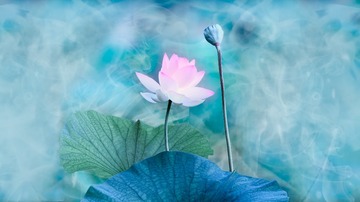 略施粉黛