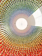 1000060555