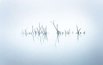 _DSC1032s