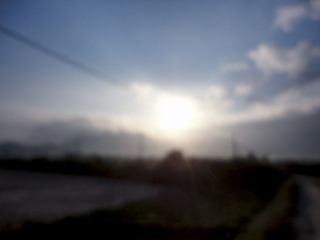 DSC06020.jpg