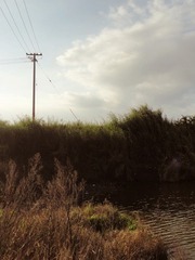 DSC05969.jpg