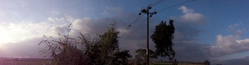 DSC06027.jpg
