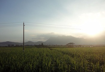 DSC06032.jpg