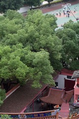 IMG_7847.jpg