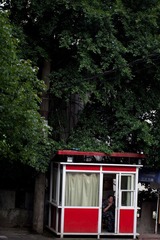 IMG_7858.jpg