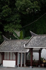 IMG_7859.jpg