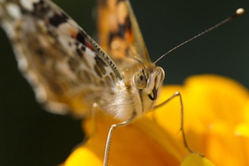 IMG_7157.jpg