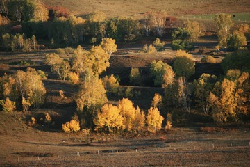 IMG_9110