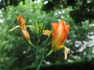 IMG_0588-2