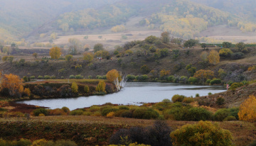 300_7386_副本_副本