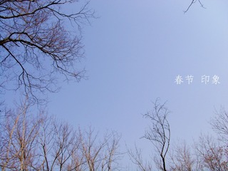 DSC00050_