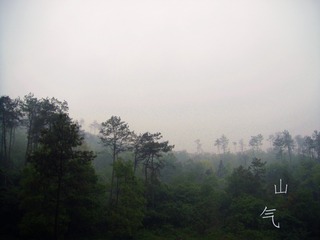 DSC00328_
