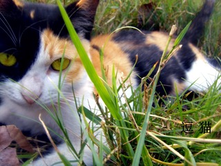 DSC01206_