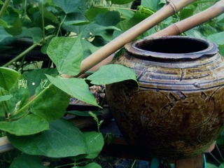 DSC01220_