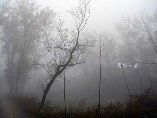 DSC01336_