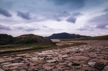 R0010559