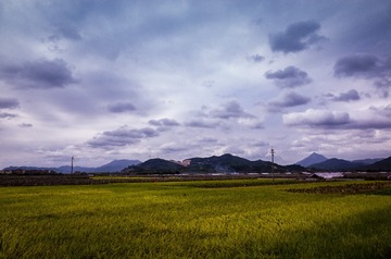 R0010624