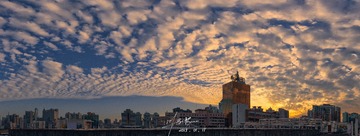 _DSC1005