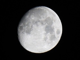 IMG_2474.JPG