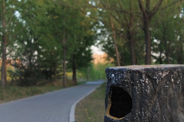东小口森林公园