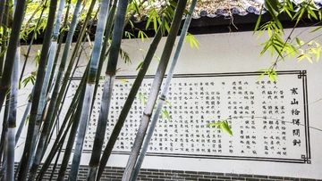问对——麓山红了15