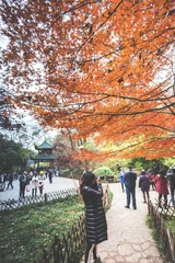 红叶爱好者——麓山红了16