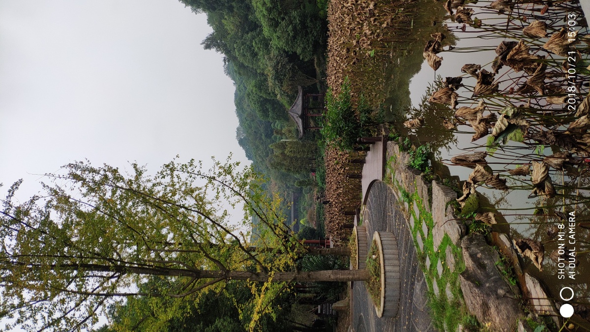 重庆华岩寺(手机拍摄)