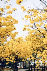 73DEFBD2-012D-4B13-BE9E-86769126EE34/L0/001