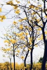 7FB1BFBC-A0A4-48D9-AB5A-3DF7586EF714/L0/001