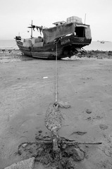 _D7K3773.jpg