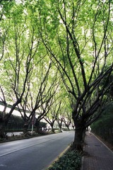 Untitled-4.jpg
