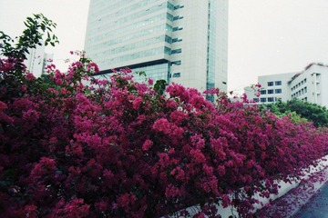 Untitled-18.jpg
