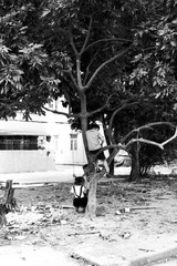400tx0010.jpg