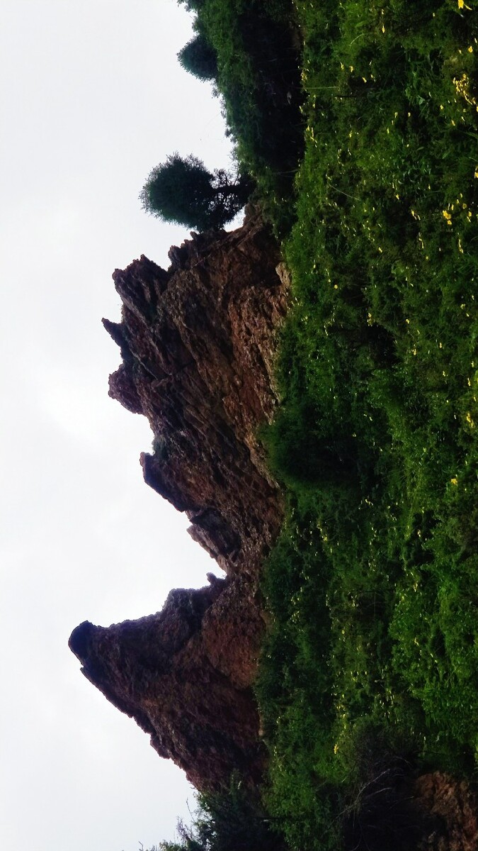 立根原在破岩中