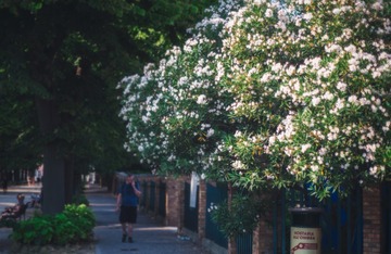 Parco delle Rimembranze