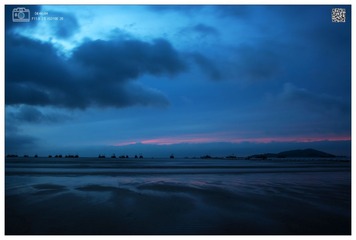 DSC_2637a
