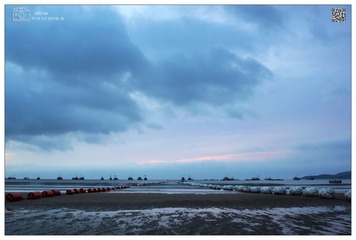 DSC_2658a