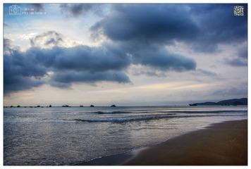 DSC_2767a