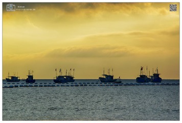 DSC_2801a